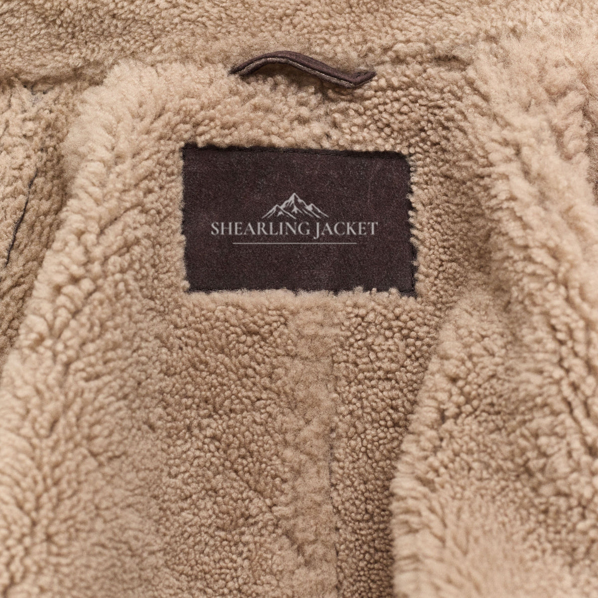 Women's Relaxed Notch-Lapel Shearling Leather Coat
